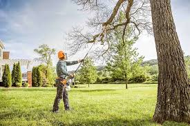 Best Commercial Tree Services  in Colleyville, TX