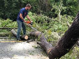 Mulching Services in Colleyville, TX