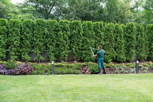 Lawn Irrigation Installation and Maintenance in Colleyville, TX